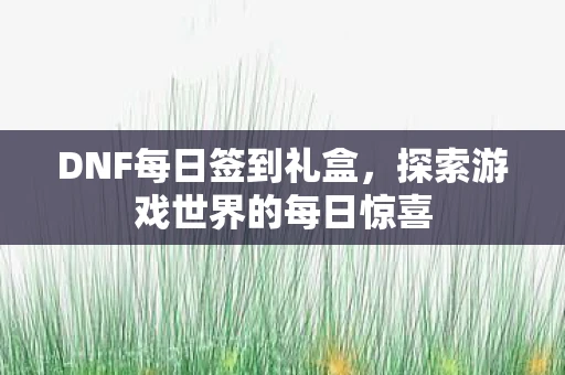 DNF每日签到礼盒，探索游戏世界的每日惊喜