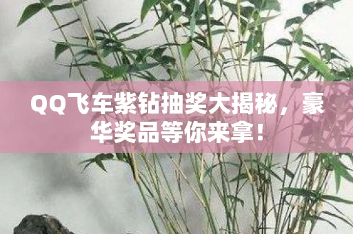 QQ飞车紫钻抽奖大揭秘，豪华奖品等你来拿！