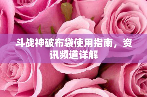 斗战神破布袋使用指南，资讯频道详解