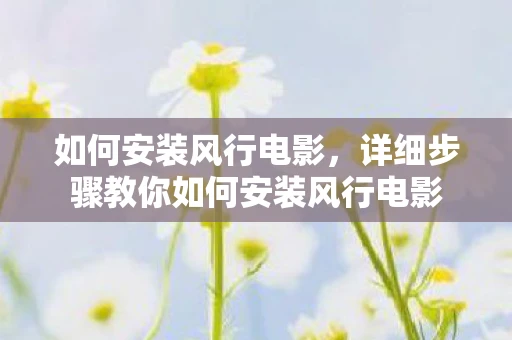 如何安装风行电影，详细步骤教你如何安装风行电影