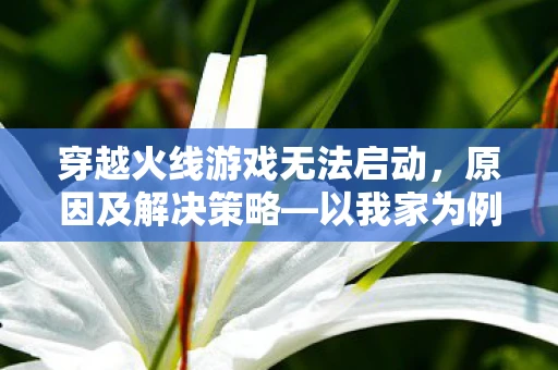 穿越火线游戏无法启动，原因及解决策略—以我家为例