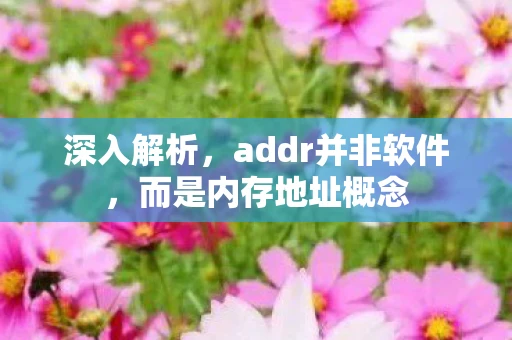 深入解析，addr并非软件，而是内存地址概念