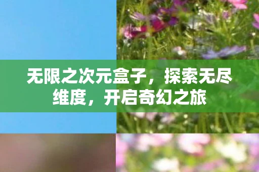 无限之次元盒子，探索无尽维度，开启奇幻之旅