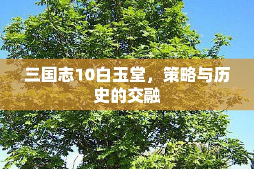 三国志10白玉堂，策略与历史的交融