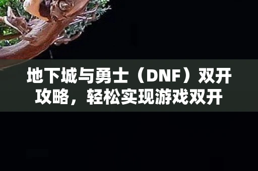 地下城与勇士（DNF）双开攻略，轻松实现游戏双开