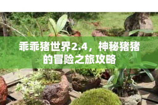 神秘猪猪的冒险之旅攻略图片
