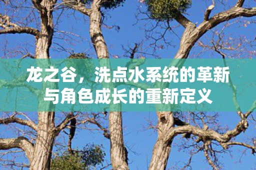 龙之谷，洗点水系统的革新与角色成长的重新定义