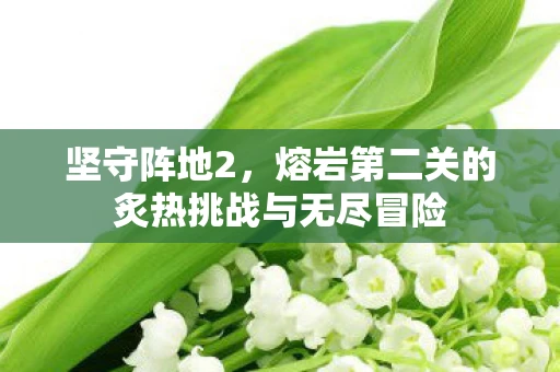 坚守阵地2，熔岩第二关的炙热挑战与无尽冒险