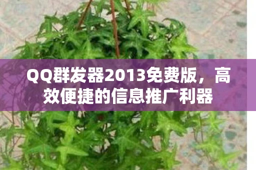 QQ群发器2013免费版，高效便捷的信息推广利器