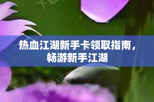 热血江湖新手卡领取指南，畅游新手江湖