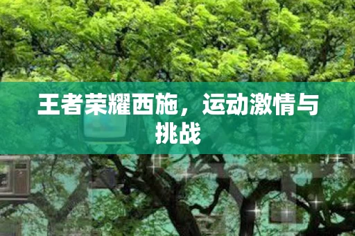 运动激情与挑战图片