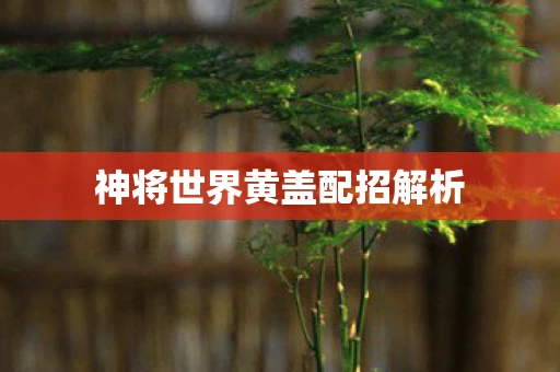 神将世界黄盖配招解析