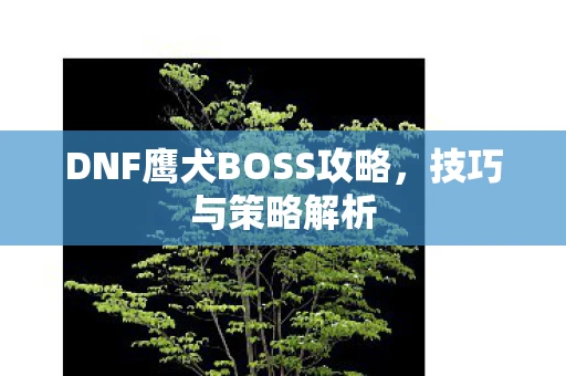 DNF鹰犬BOSS攻略，技巧与策略解析