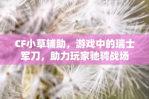 游戏中的瑞士军刀图片