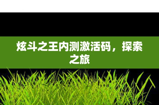 炫斗之王内测激活码，探索之旅