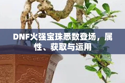 DNF火强宝珠悉数登场，属性、获取与运用