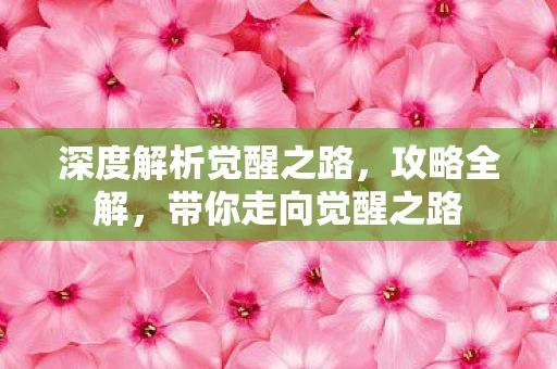 深度解析觉醒之路，攻略全解，带你走向觉醒之路