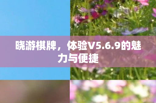 晓游棋牌，体验V5.6.9的魅力与便捷
