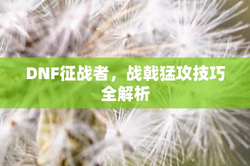 DNF征战者，战戟猛攻技巧全解析