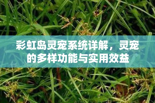 彩虹岛灵宠系统详解，灵宠的多样功能与实用效益
