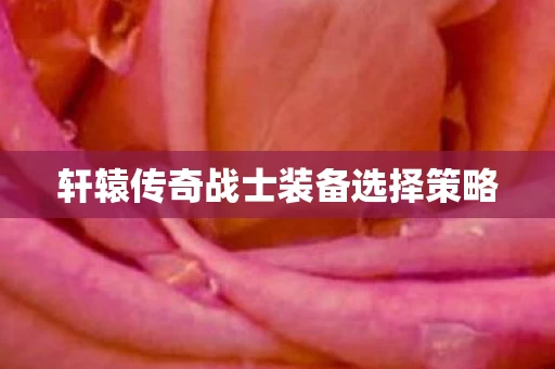 轩辕传奇战士装备选择策略图片