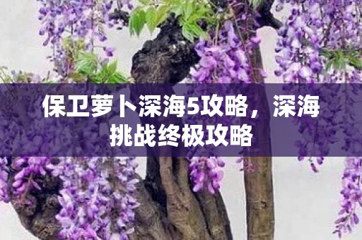 保卫萝卜深海5攻略，深海挑战终极攻略