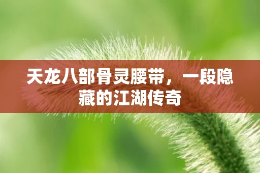 天龙八部骨灵腰带，一段隐藏的江湖传奇