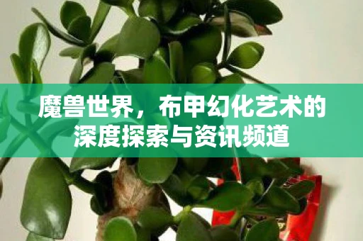 魔兽世界，布甲幻化艺术的深度探索与资讯频道