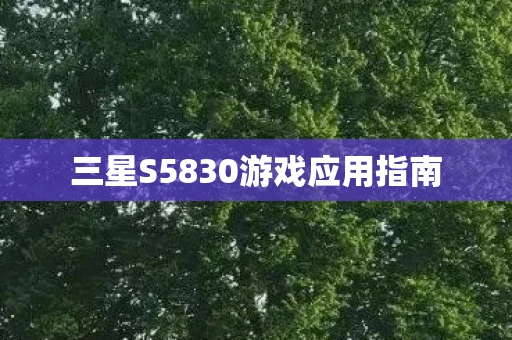 三星S5830游戏应用指南