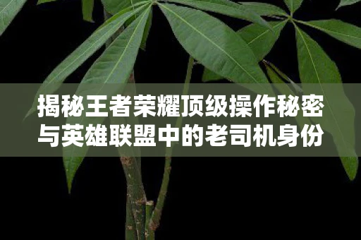 揭秘王者荣耀顶级操作秘密与英雄联盟中的老司机身份