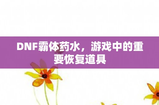 DNF霸体药水，游戏中的重要恢复道具