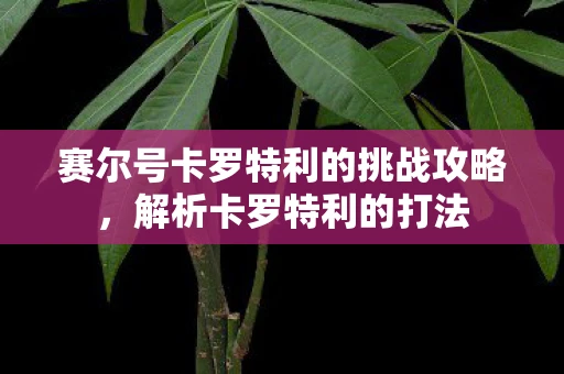 赛尔号卡罗特利的挑战攻略，解析卡罗特利的打法