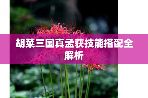 胡莱三国真孟获技能搭配全解析