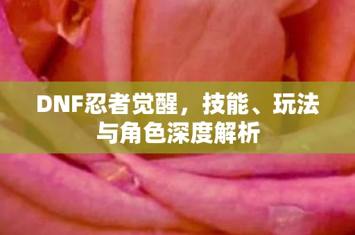 DNF忍者觉醒，技能、玩法与角色深度解析