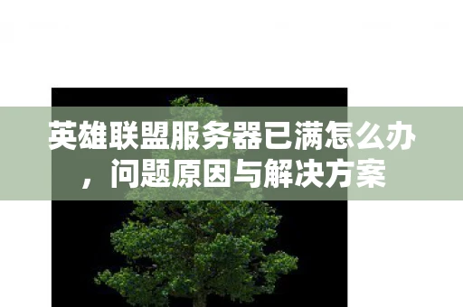 英雄联盟服务器已满怎么办，问题原因与解决方案