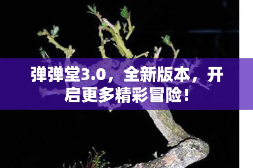 弹弹堂3.0，全新版本，开启更多精彩冒险！