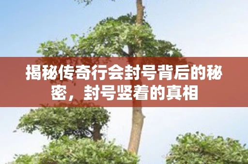 揭秘传奇行会封号背后的秘密，封号竖着的真相