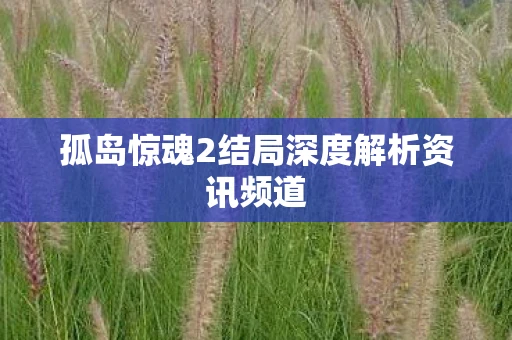 孤岛惊魂2结局深度解析资讯频道