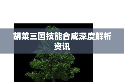 胡莱三国技能合成深度解析资讯