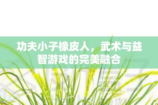 功夫小子橡皮人，武术与益智游戏的完美融合