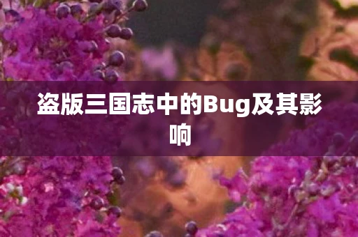 盗版三国志中的Bug及其影响
