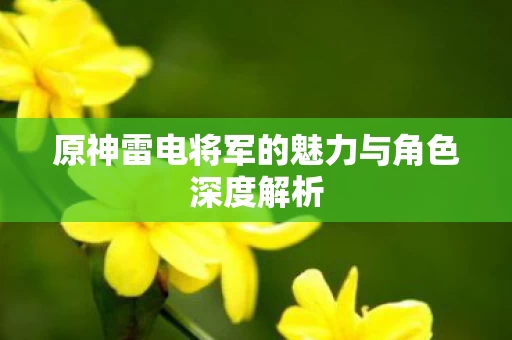 原神雷电将军的魅力与角色深度解析图片