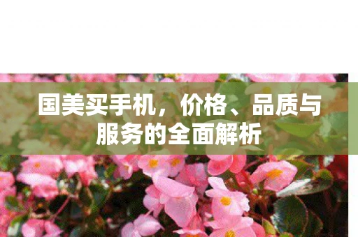 国美买手机，价格、品质与服务的全面解析