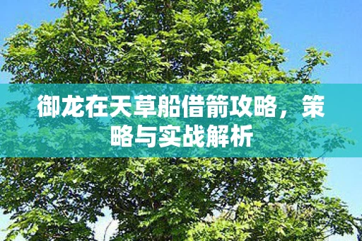 御龙在天草船借箭攻略，策略与实战解析