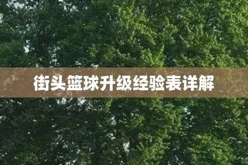 街头篮球升级经验表详解