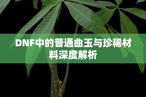DNF中的普通曲玉与珍稀材料深度解析