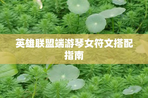 英雄联盟端游琴女符文搭配指南