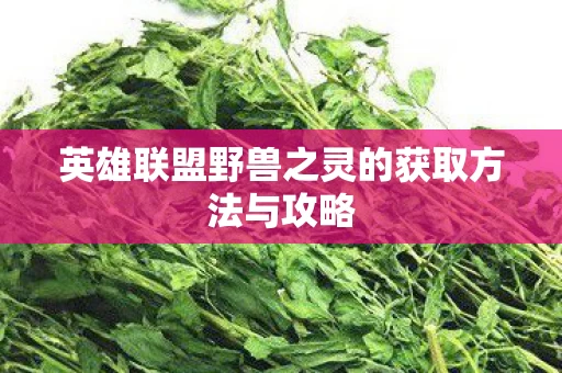 英雄联盟野兽之灵的获取方法与攻略图片