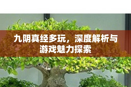 九阴真经多玩，深度解析与游戏魅力探索