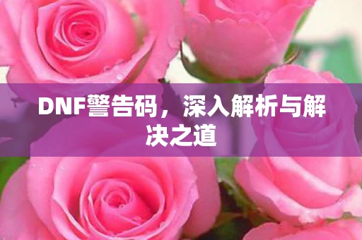 DNF警告码，深入解析与解决之道